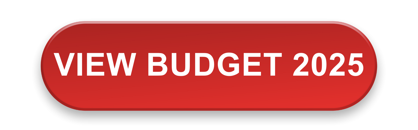 Red button reading "View Budget 2025 Button"